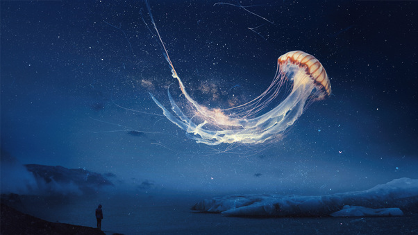 Jellyfish Dream Surreal Night Sky Alone Wallpaper