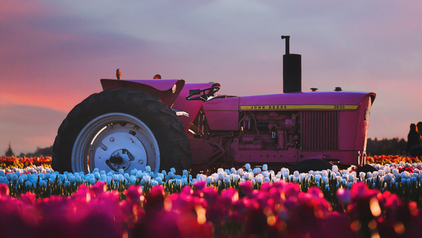 John Deere Tractor In Flower Farm 4k Wallpaper