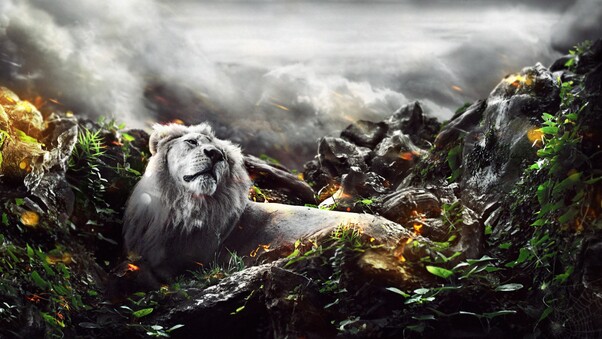 Jungle Lion Creative Wallpaper