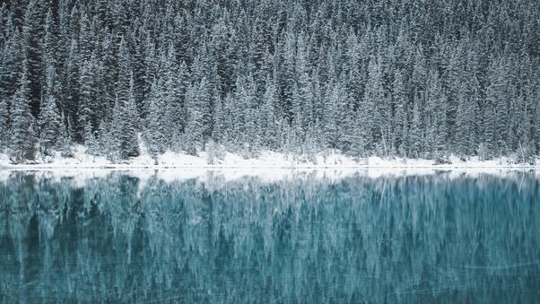 Lake Louise Canada 5k Wallpaper