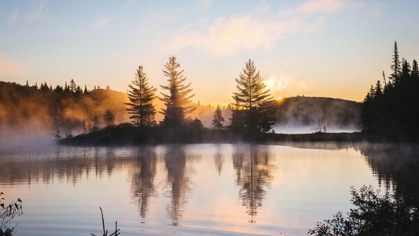 Lake Reflection Morning Mist Trees Nature Hd 4k Wallpaper