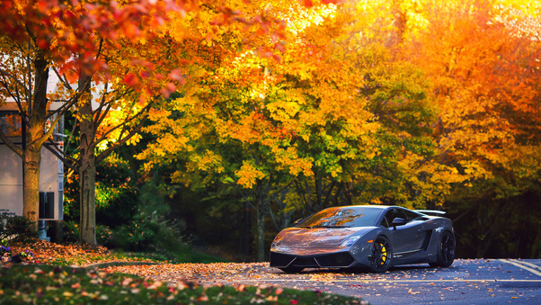 Lamborghini Autumn Gallardo Wallpaper