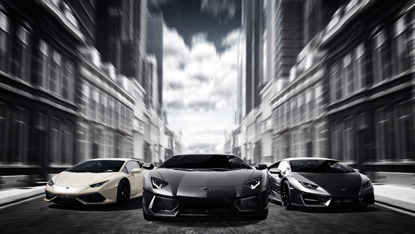 Lamborghinis Black And White 4k Wallpaper
