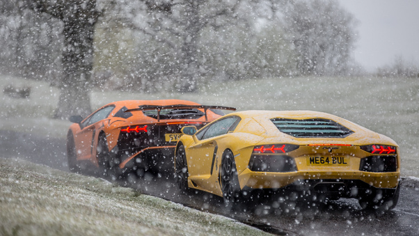 Lambos In The Snow Wallpaper