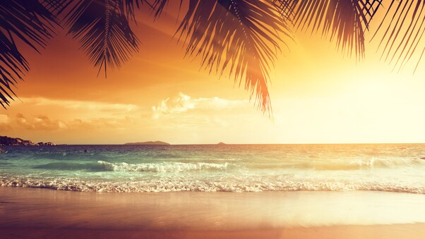 Landscape Beach Tropical Sun Wallpaper