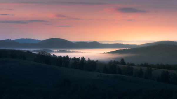 Landscape With Trees And Fog 5k (2560x1080) Resolution Wallpaper