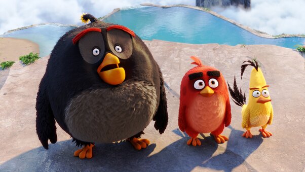 Latest Angry Birds 2016 Movie Wallpaper