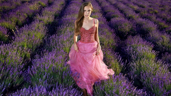 Lavender Field Girl Dress Cute 4k Wallpaper