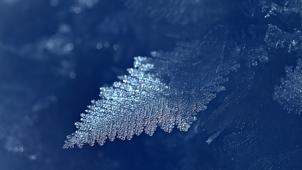 Leaf Ice Frost Wallpaper