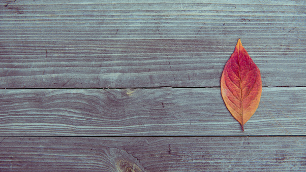 Leaf On Wood Plank Table Wallpaper