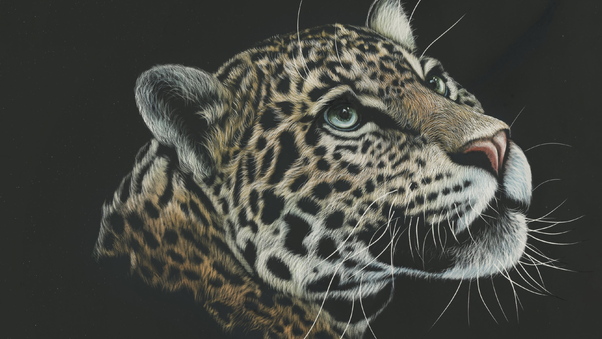 Leopard Painting 4k Wallpaper