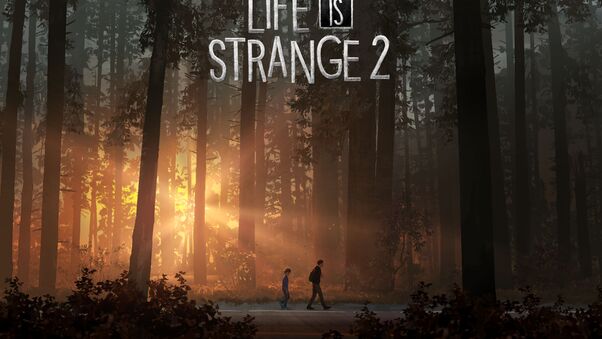 Life Is Strange 2 2018 8k Wallpaper