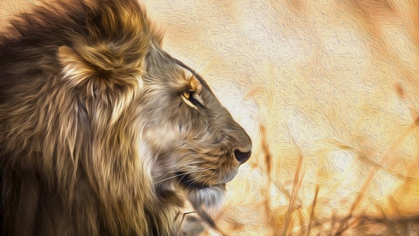 Lion Art Wallpaper