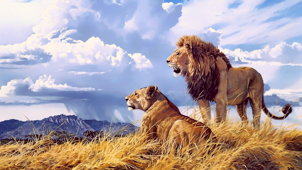 Lion Lioness Artwork 4k Wallpaper