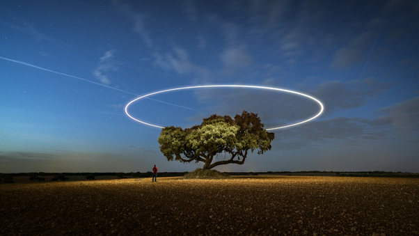 Long Exposure Tree Stars (3000x2000) Resolution Wallpaper