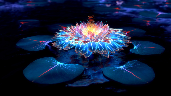 Lotus Flower Digital Art 4k Wallpaper
