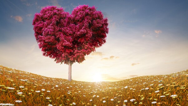 Love Heart Tree Wallpaper