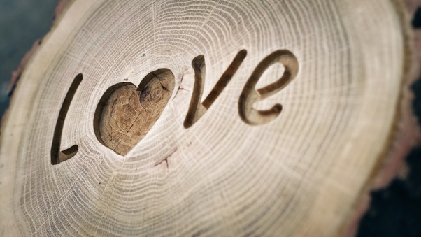 Love Written On Wood Wallpaper