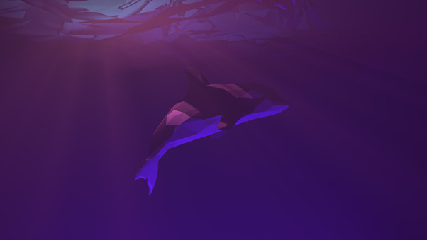 Low Poly Dolphin Wallpaper