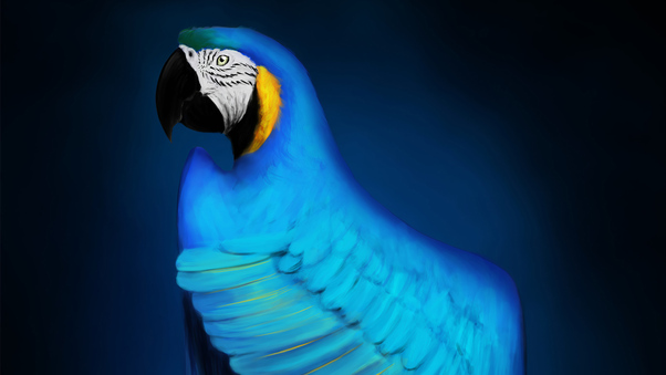 Macaw Digital Art Wallpaper