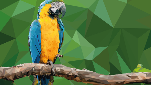 Macaw Low Poly Digital Art Wallpaper