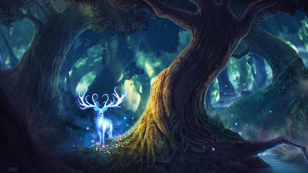 Magic Forest Fantasy Deer Wallpaper