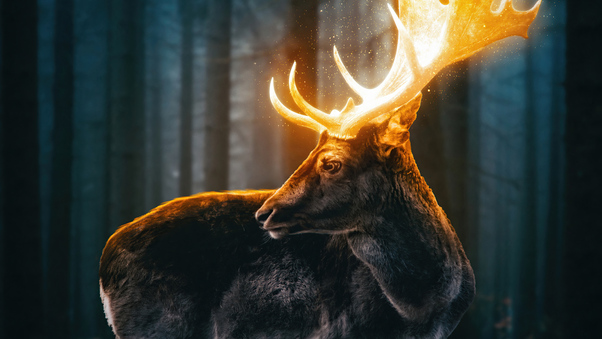 Magical Reindeer Forest 5k Wallpaper