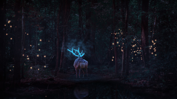 Magical Reindeer In Forest Wallpaper