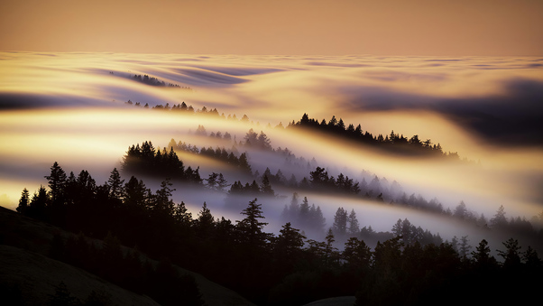 Marin County Mist Morning 4k Wallpaper