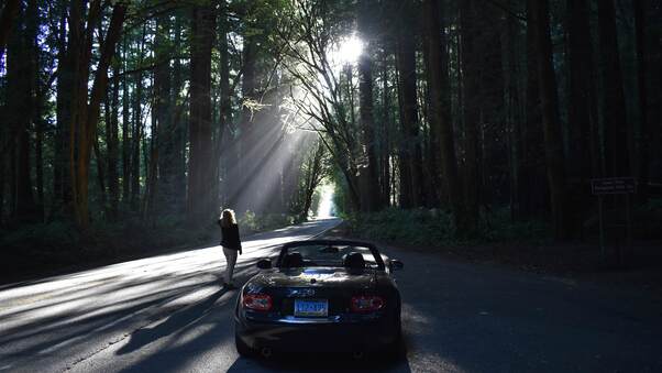 Mazda Sports Car In Forest Road Wallpaper