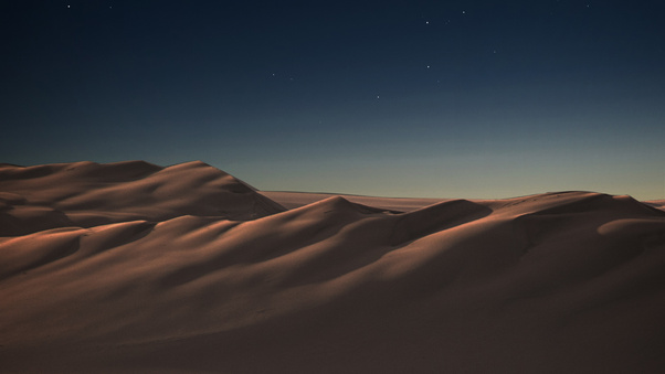 Meanwhile In Desert Wallpaper