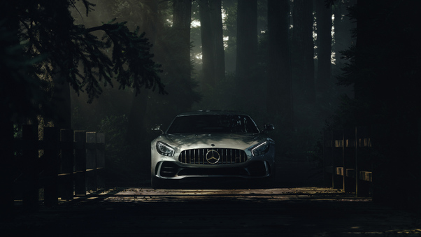 Mercedes Benz Amg GT Deep Forest Wallpaper