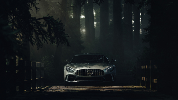 Mercedes Benz Amg GT Forest Wallpaper