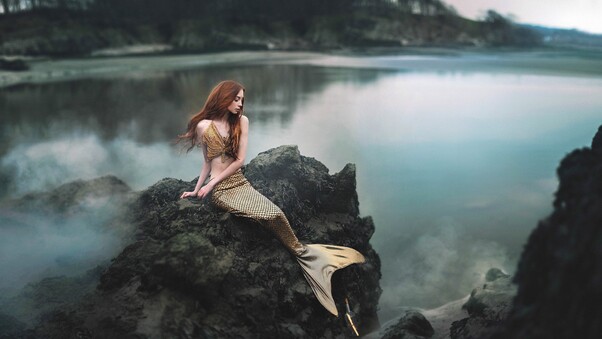Mermaid Dress Wallpaper