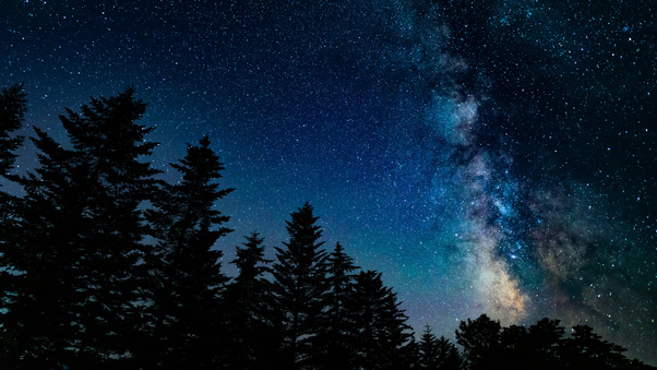 Milky Way Through Pine Trees (1280x720) Resolution Wallpaper