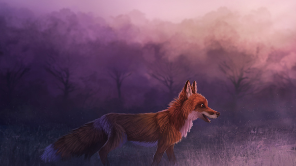 Misty Red Fox 4k Wallpaper