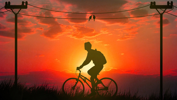 Morning Bicycle Ride 4k Wallpaper