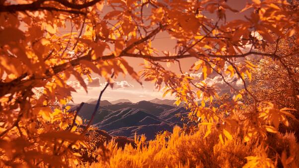 Mountains View Between Autumn Tree Branches 5k Wallpaper