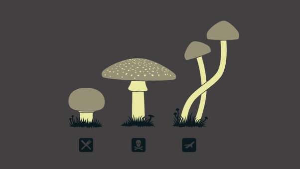 Mushroom Minimalism Wallpaper