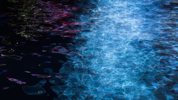 Neon Lights Reflecting In The Dark Water Wallpaper