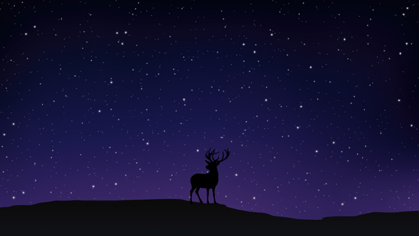 Night Sky And Reindeer Wallpaper
