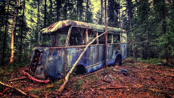 Old Vintage Bus In Forest Wallpaper