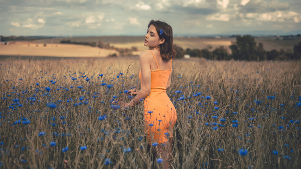 Orange Dress Girl In Field 4k Wallpaper