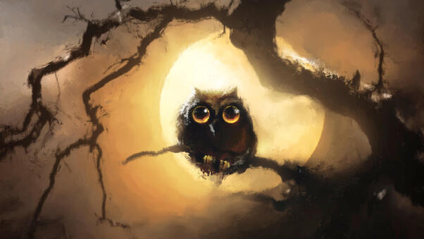 Owl And Moon Wallpaper