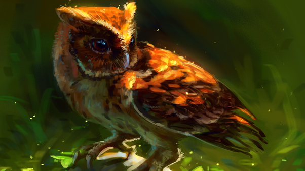 Owl Arts Wallpaper