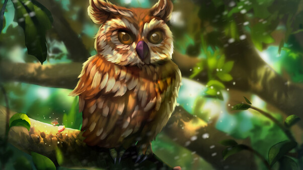 Owl Colorful Art Wallpaper