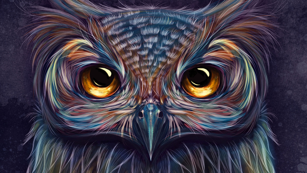 Owl Colorful Art 5k Wallpaper