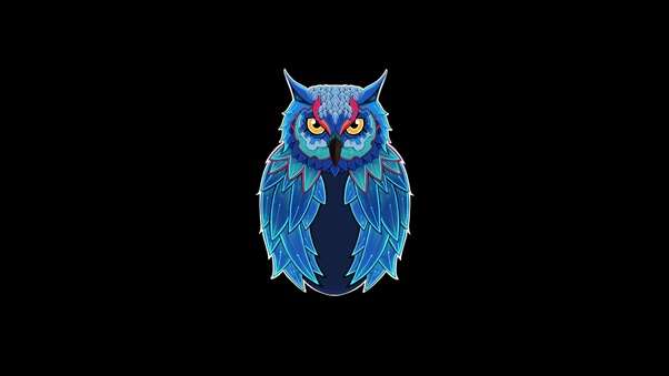 Owl Dark 5k Wallpaper