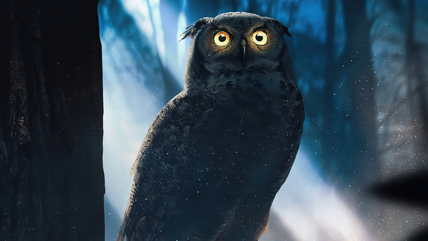 Owl Glowing Eyes Forest 4k Wallpaper