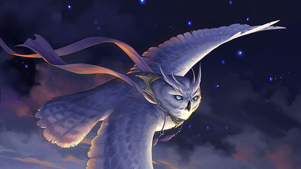 Owl Highwind Glider Wallpaper